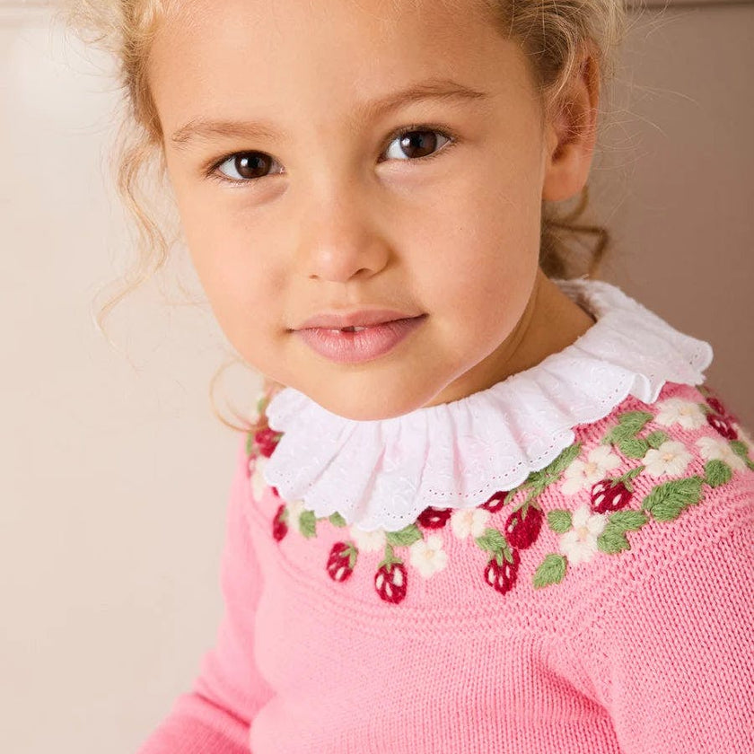 Strawberry Embroidered Jumper in Pink (12mths-6yrs)