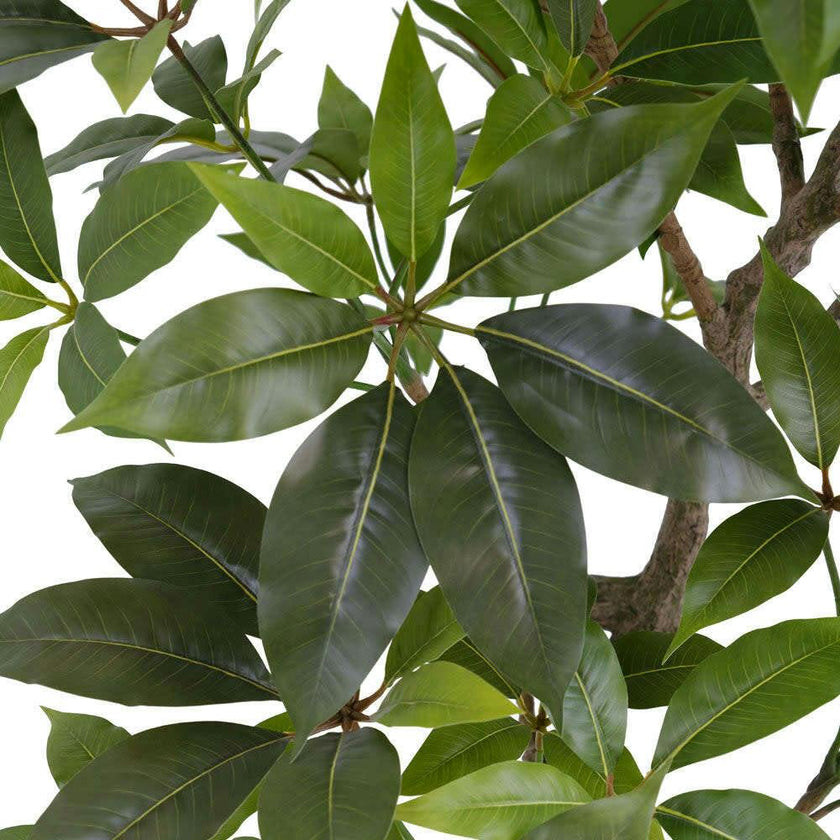 faux money tree Faux Potted Money Tree, 7 ft