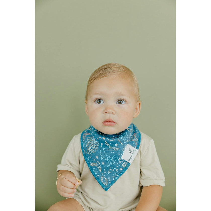 Wizarding World Bandana Bibs