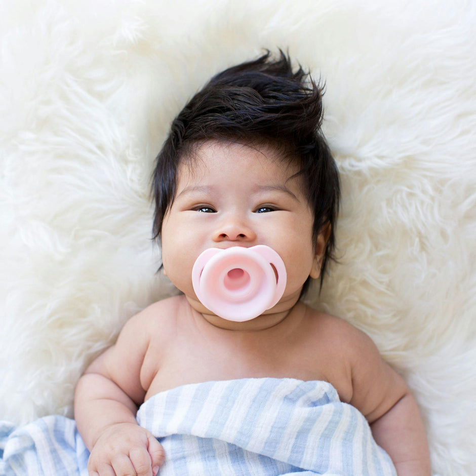 Pop & Go Pacifiers - Coal/Spice