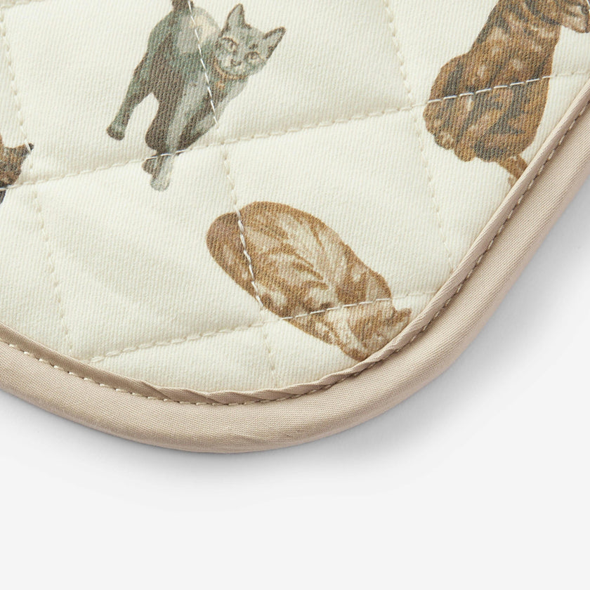 Double Oven Mitt