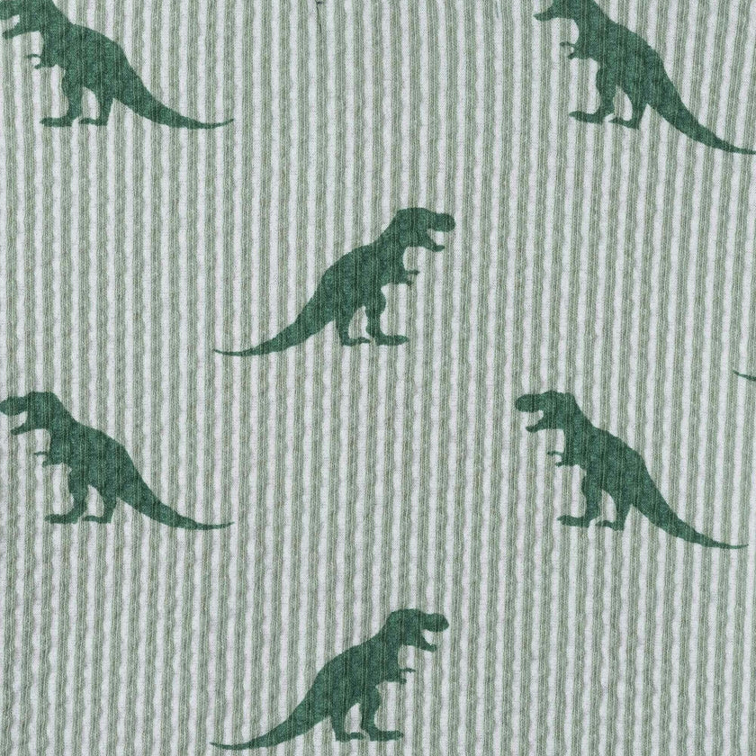 Infant Boys Short Sleeve Cabana Set | Green Stripe Dino