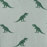Infant Boys Short Sleeve Cabana Set | Green Stripe Dino