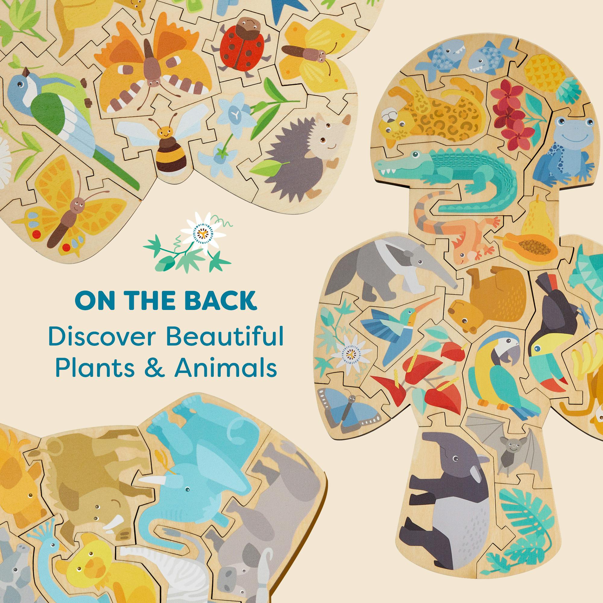Bundle of Animal 2 in 1 Puzzles (Parrot, Elephant & Butterfly)