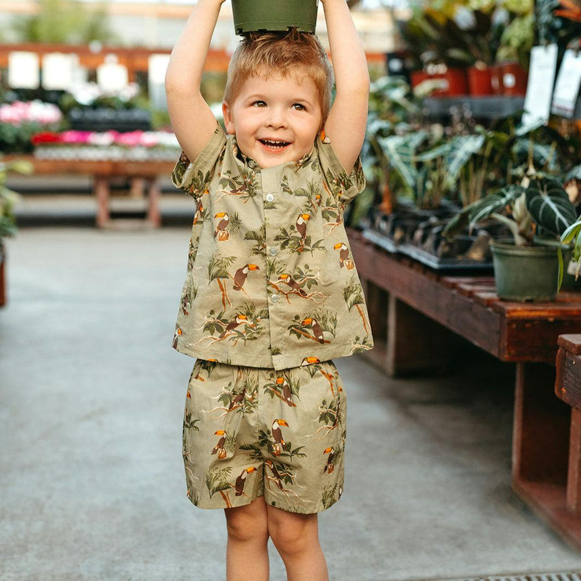Collar Button-Up Shirt and Shorts Set