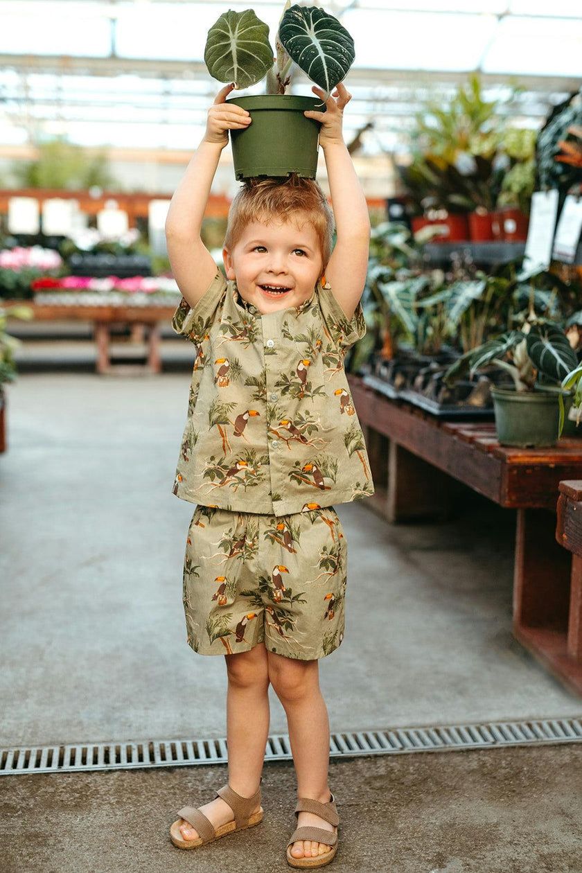 Collar Button-Up Shirt and Shorts Set