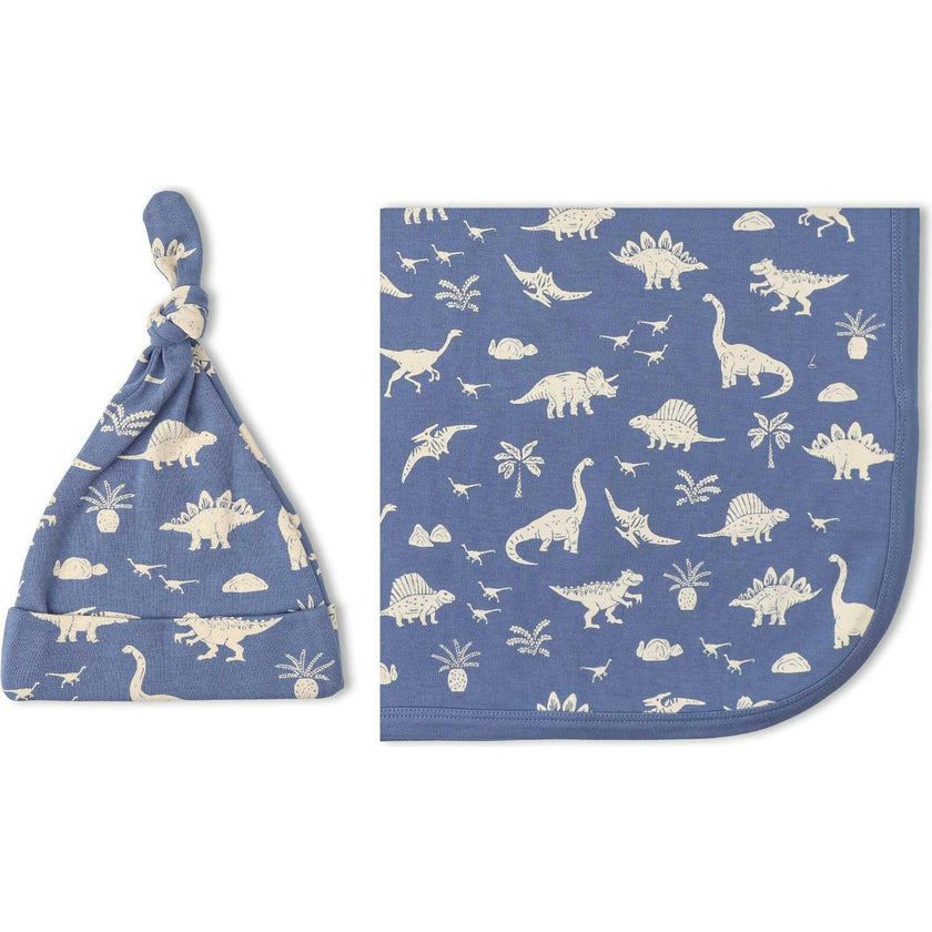 Organic Swaddle Blanket & Hat Set