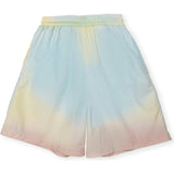 Board Shorts in Rainbow Sherbet