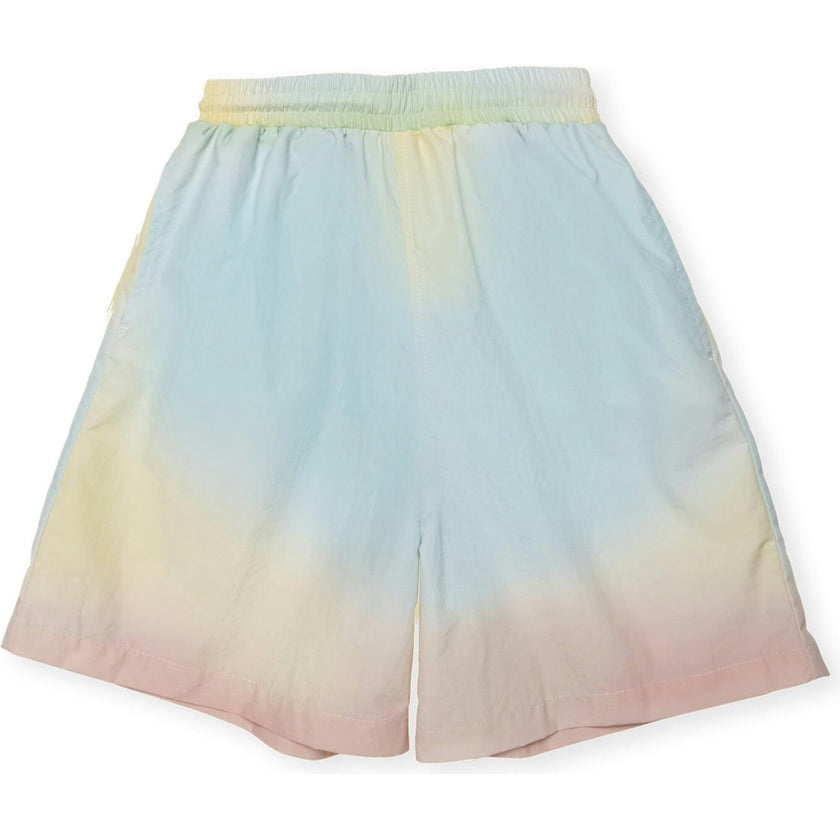 Board Shorts in Rainbow Sherbet