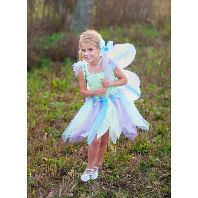 Butterfly Dress & Wings with Wand