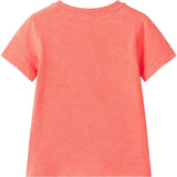 Boys Short Sleeve Tee & Quilted Short Set | Summer Shades