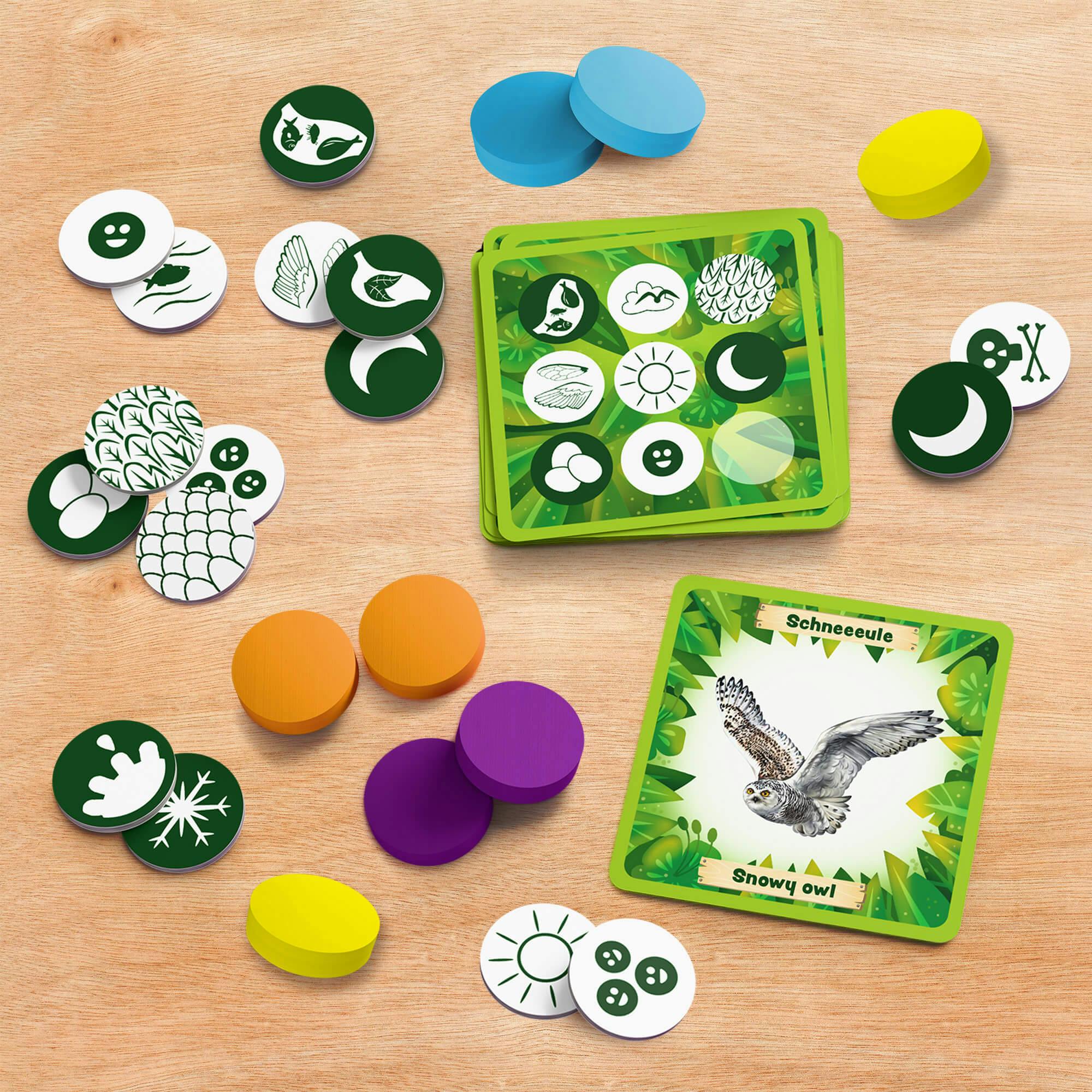 Animals Around the World Bingo