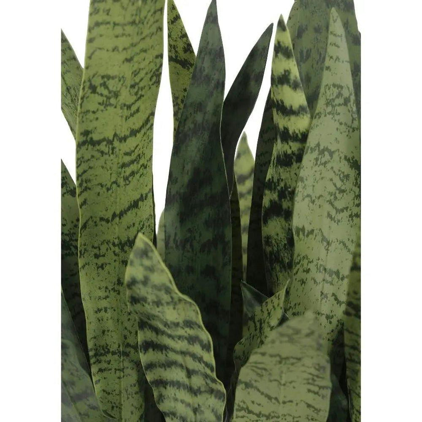 Rectangular Snake Plant Arrangement in Gray Pot
