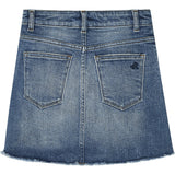 Jenny Mini Skirt | Blue Rose