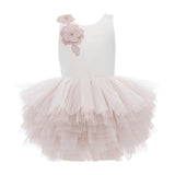 Pink Littlebrook Floral Tulle Dress