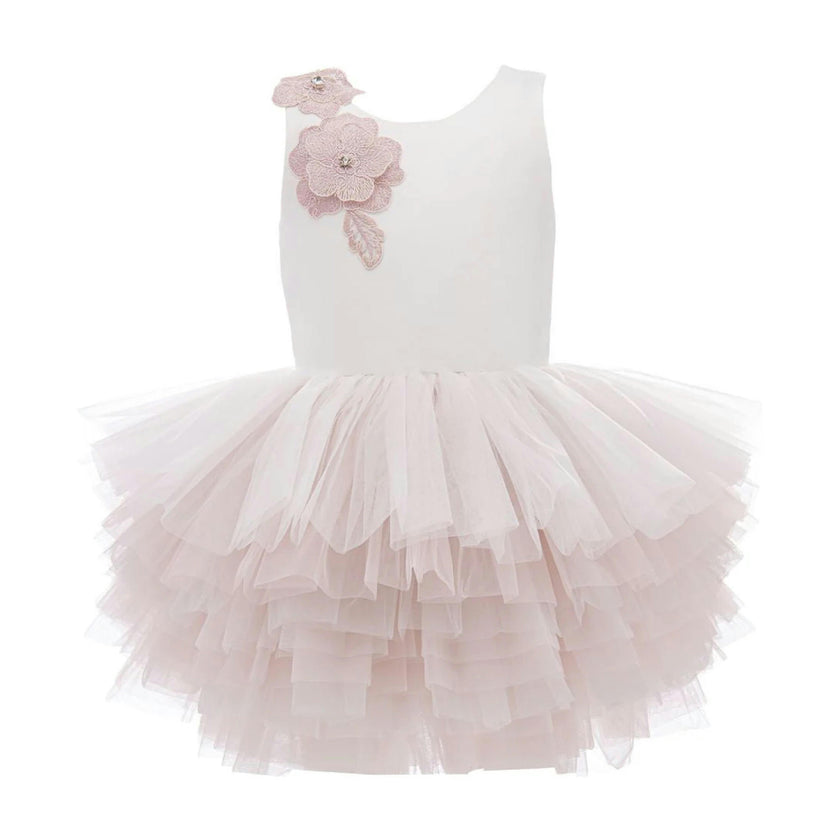 Pink Littlebrook Floral Tulle Dress