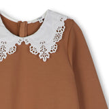 Brown Lace Collar Dress