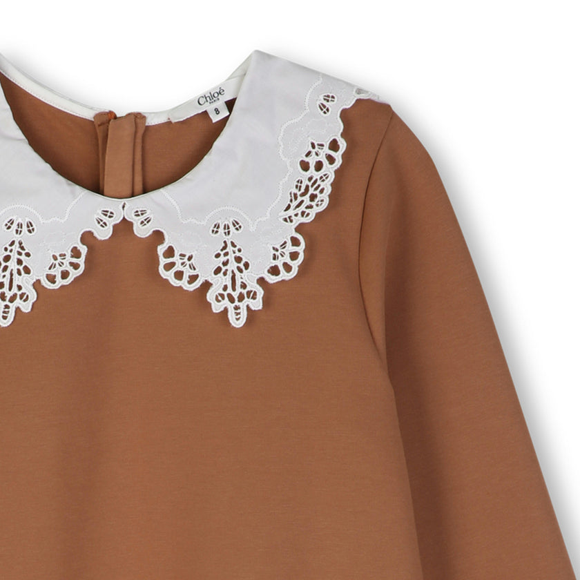Brown Lace Collar Dress