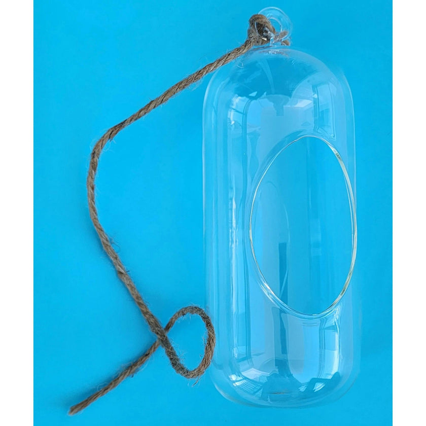 Glass Terrarium: Carefree Capsule - 2 Pack