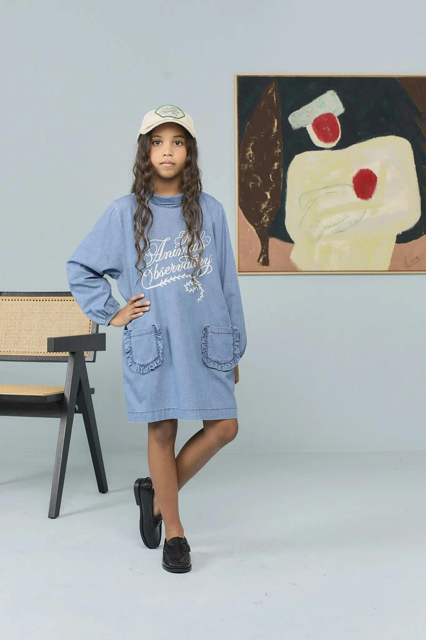 Dusty Blue Dragon Dress
