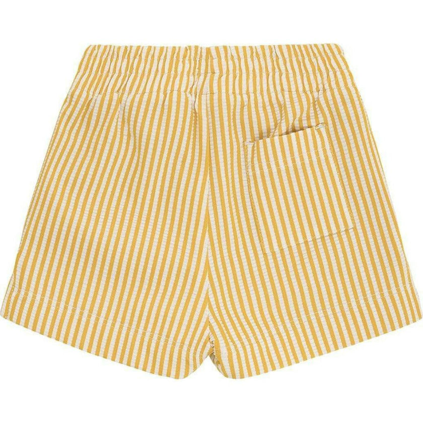 Canary Stripe Mini Boardshort