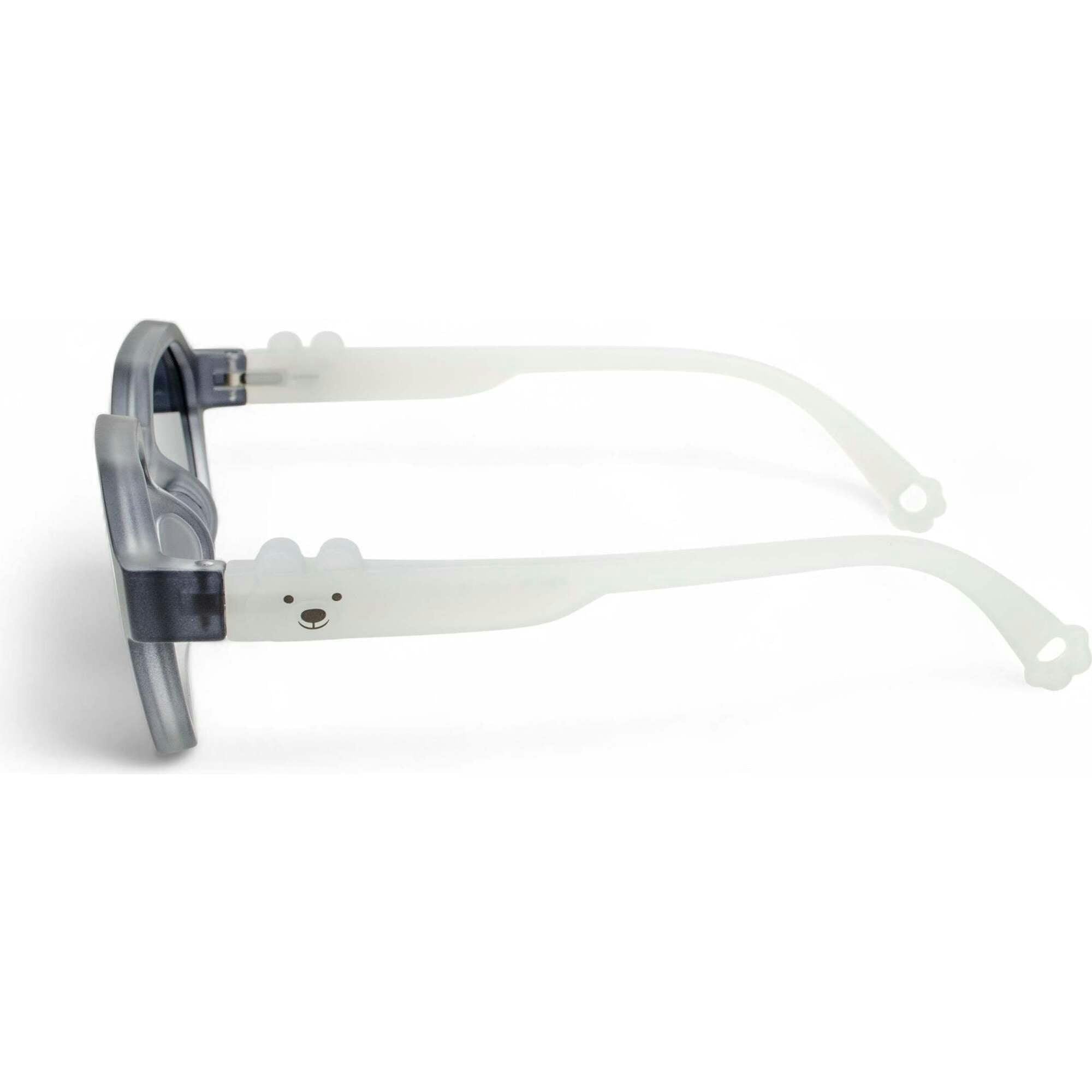 Frost Polarized Explorer Kids Sunglasses