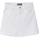 Jenny Mini Skirt | Palmetto Bay