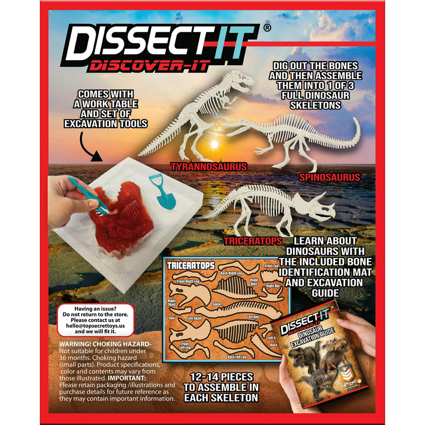 Dissect-It: Dino Dig