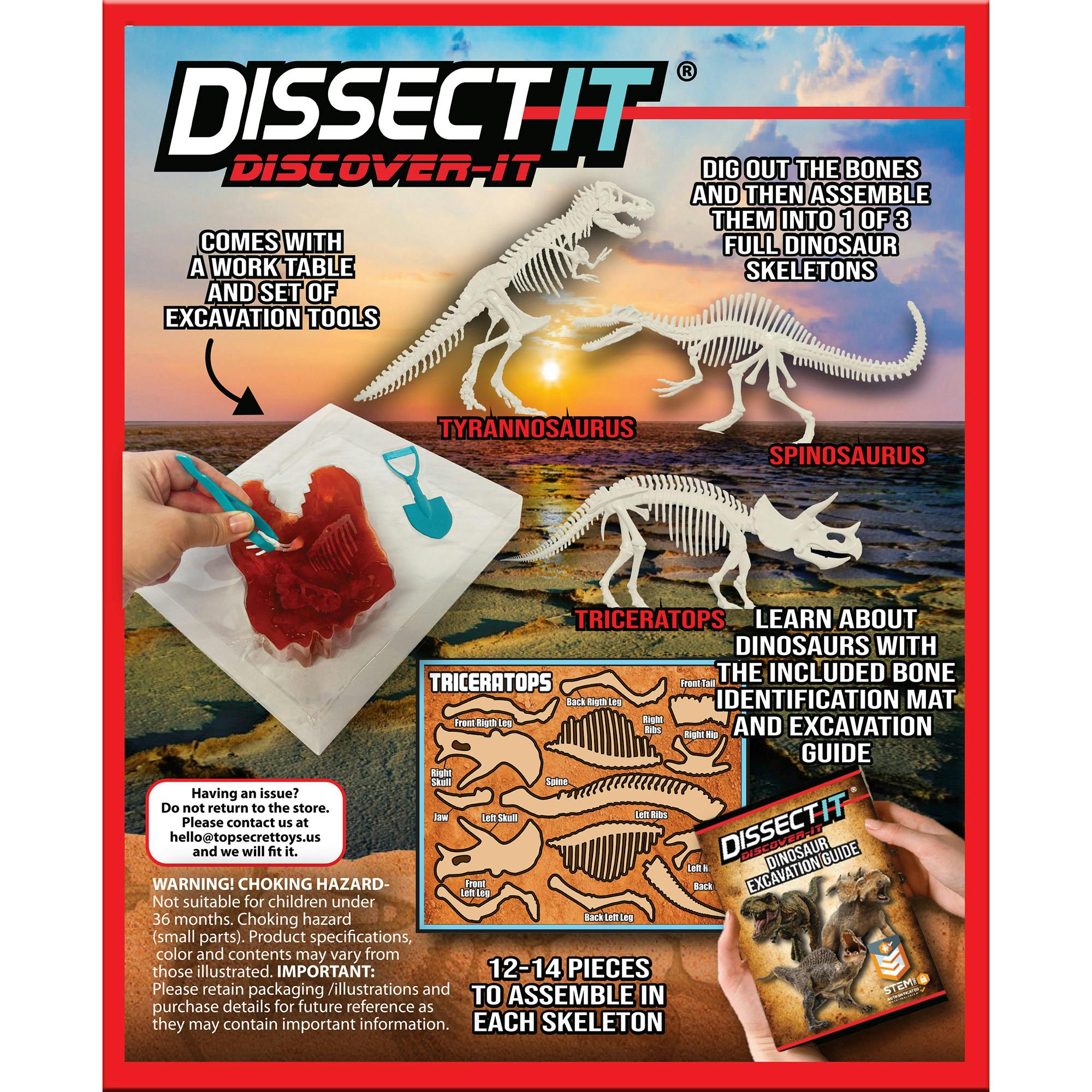 Dissect-It: Dino Dig