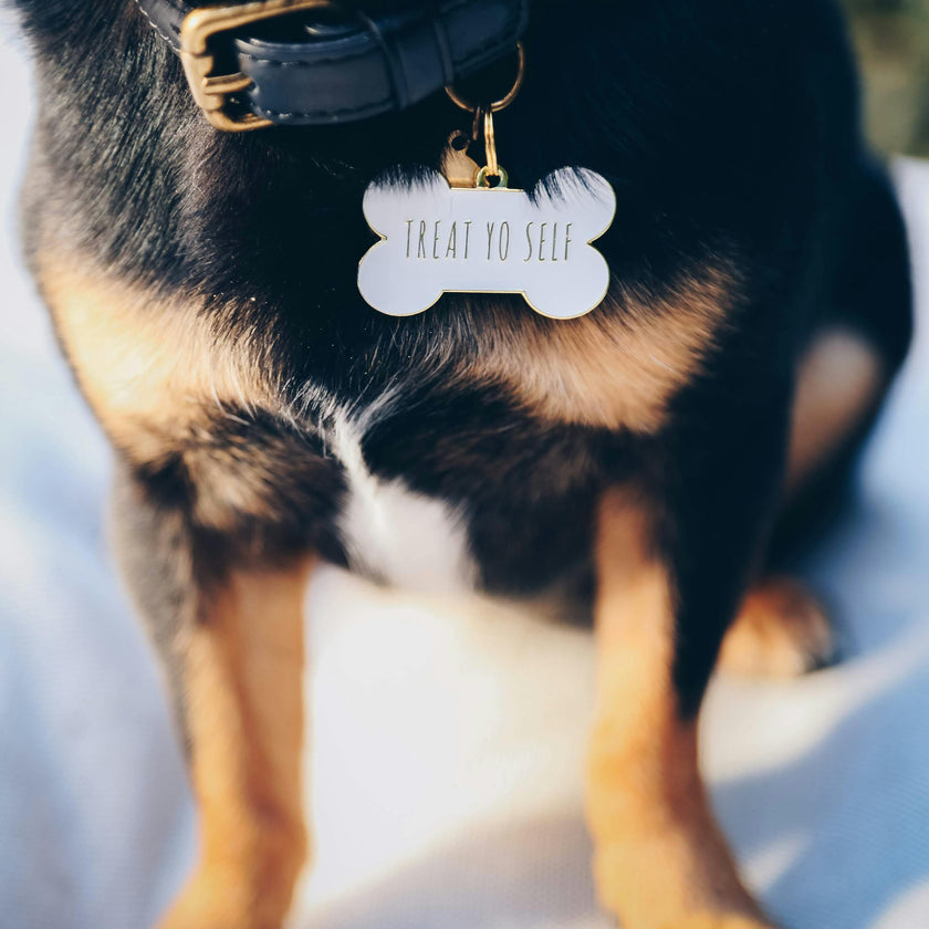 Treat Yo Self Pet ID Tag