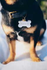 Treat Yo Self Pet ID Tag
