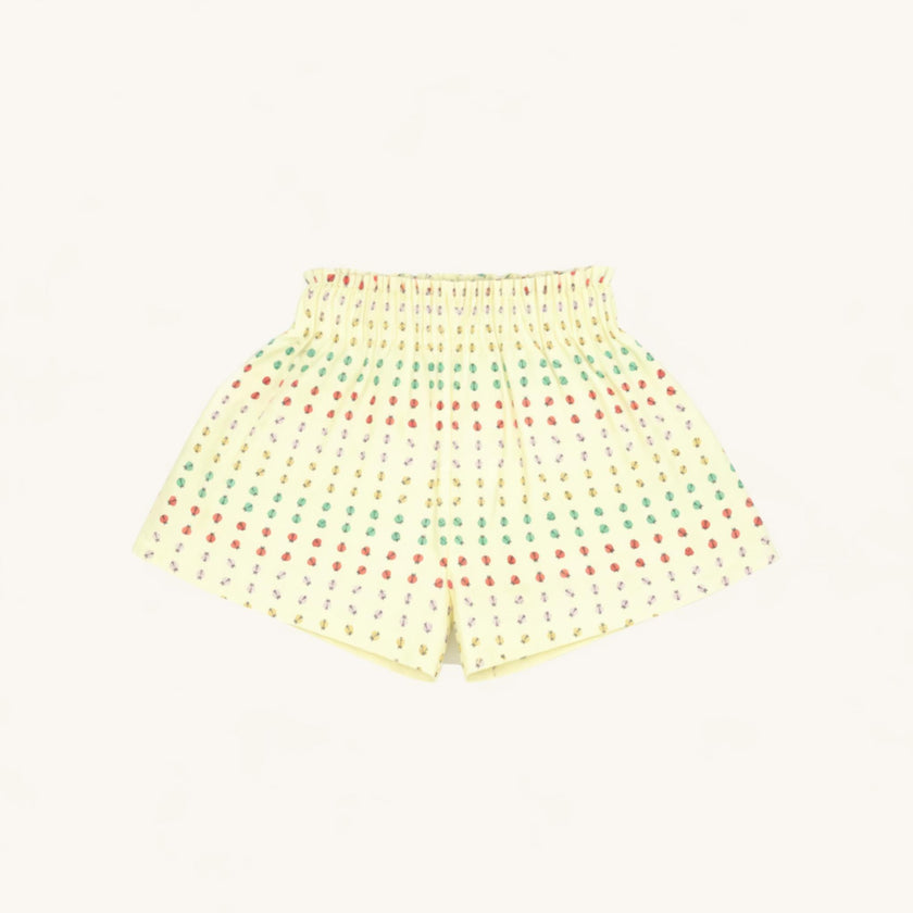 Day Short in Ladybug