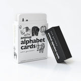 Mix, Match & Learn Bundle