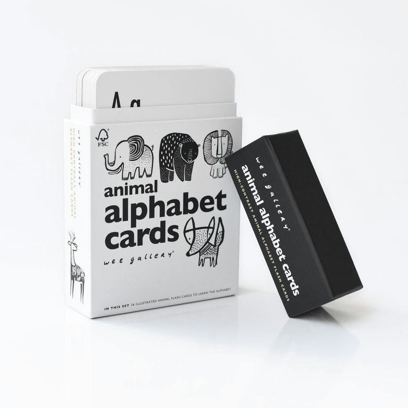 Mix, Match & Learn Bundle