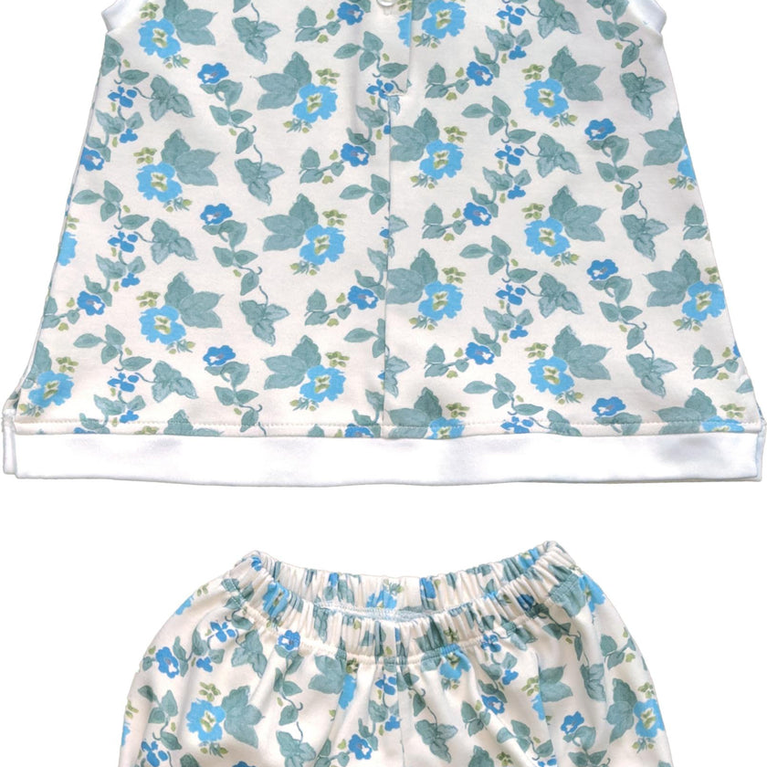 Dashwood Set