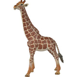 Animals Set: Safari - 5pc