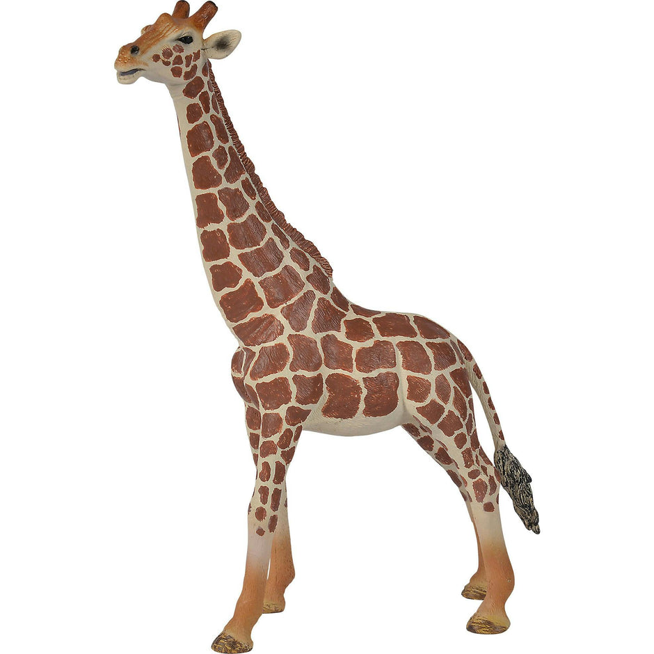 Animals Set: Safari - 5pc