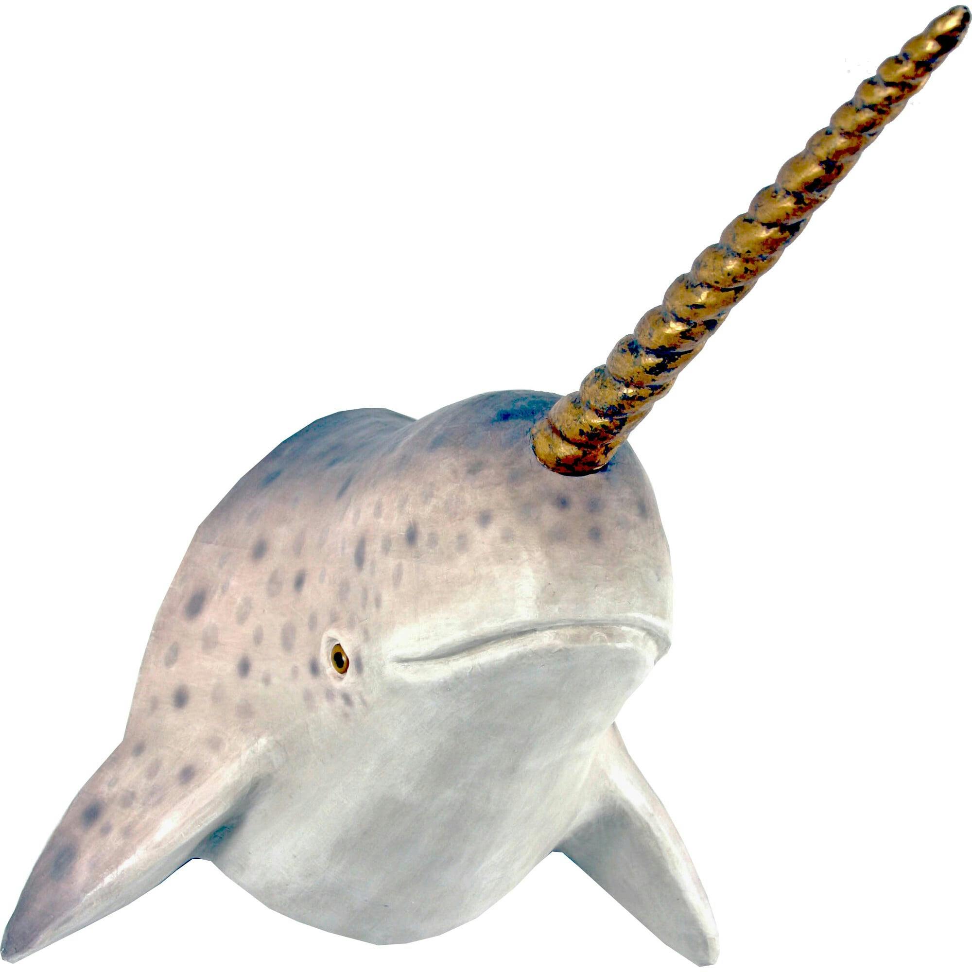 Narwhal Mount