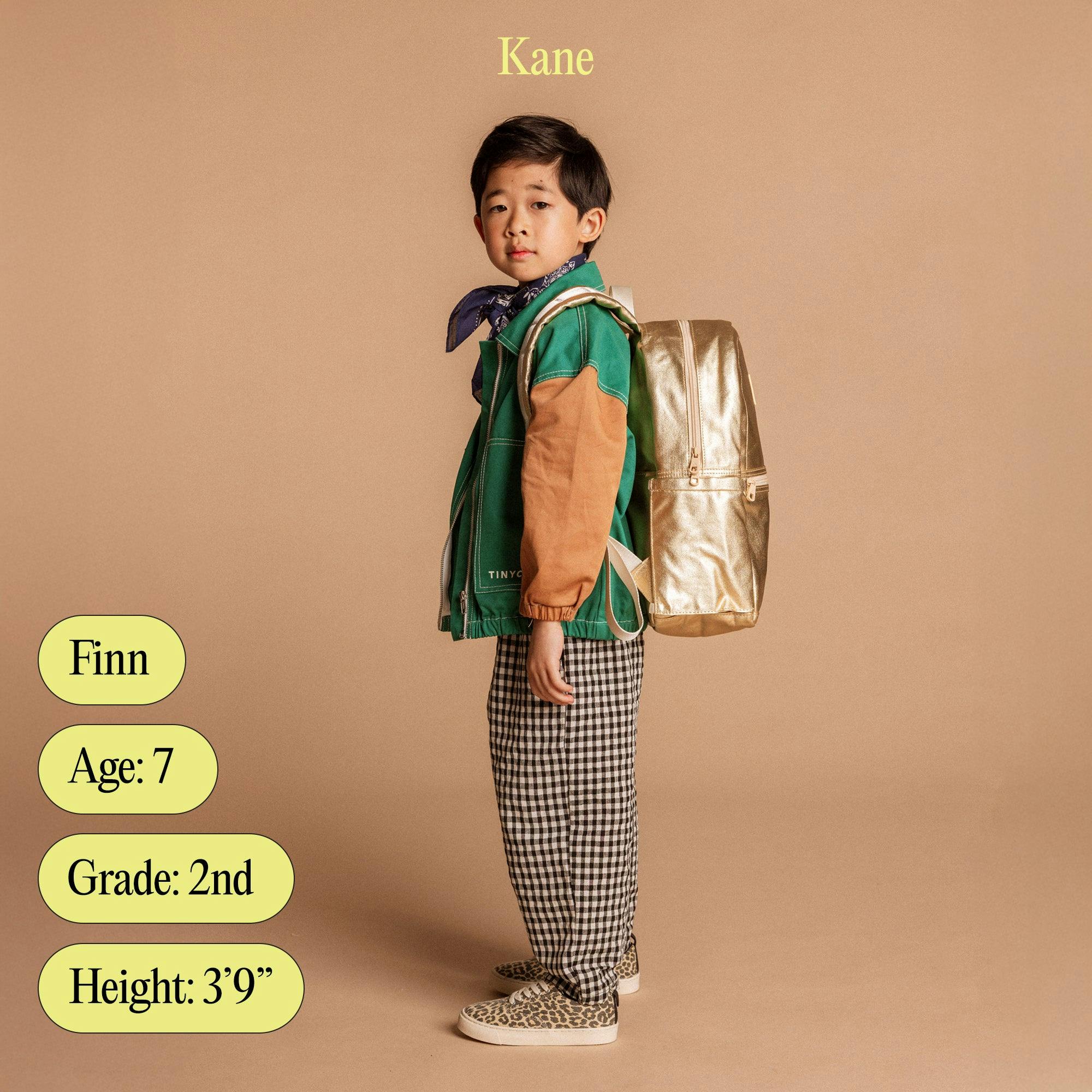 Kane Backpack, Stripe