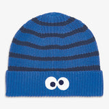 Kids Sesame Street knit beanie