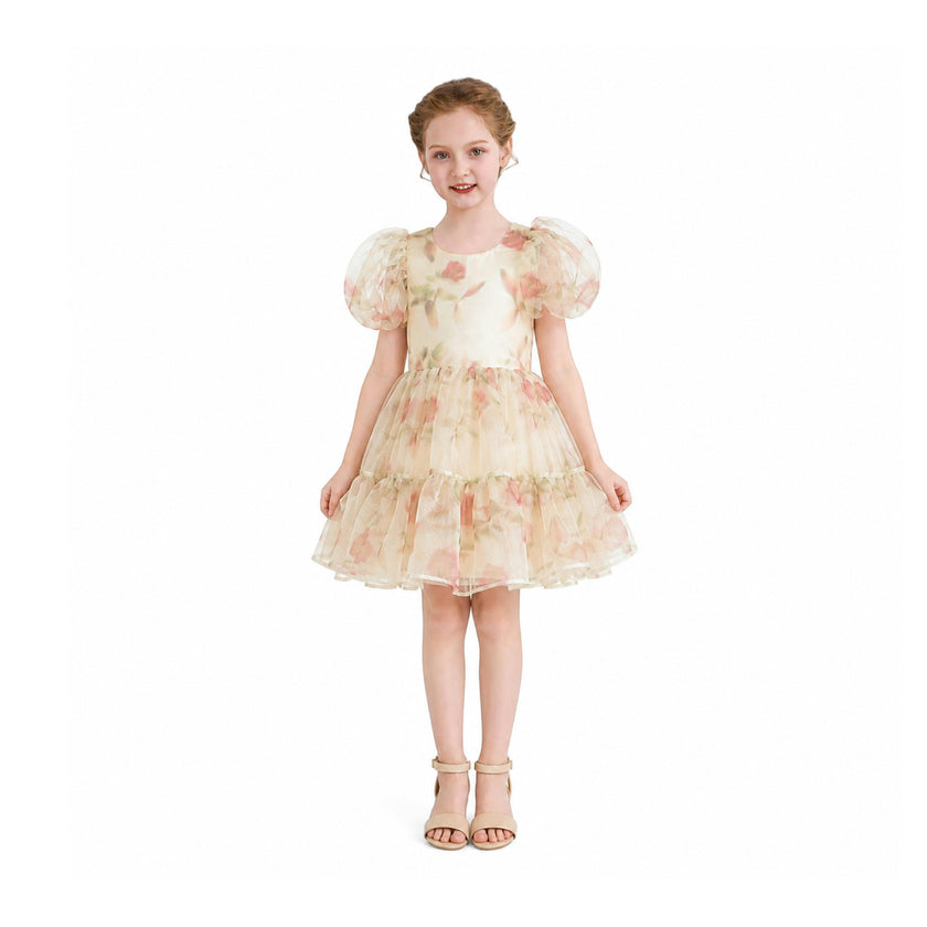 Cream Elanora Floral Organza Dress