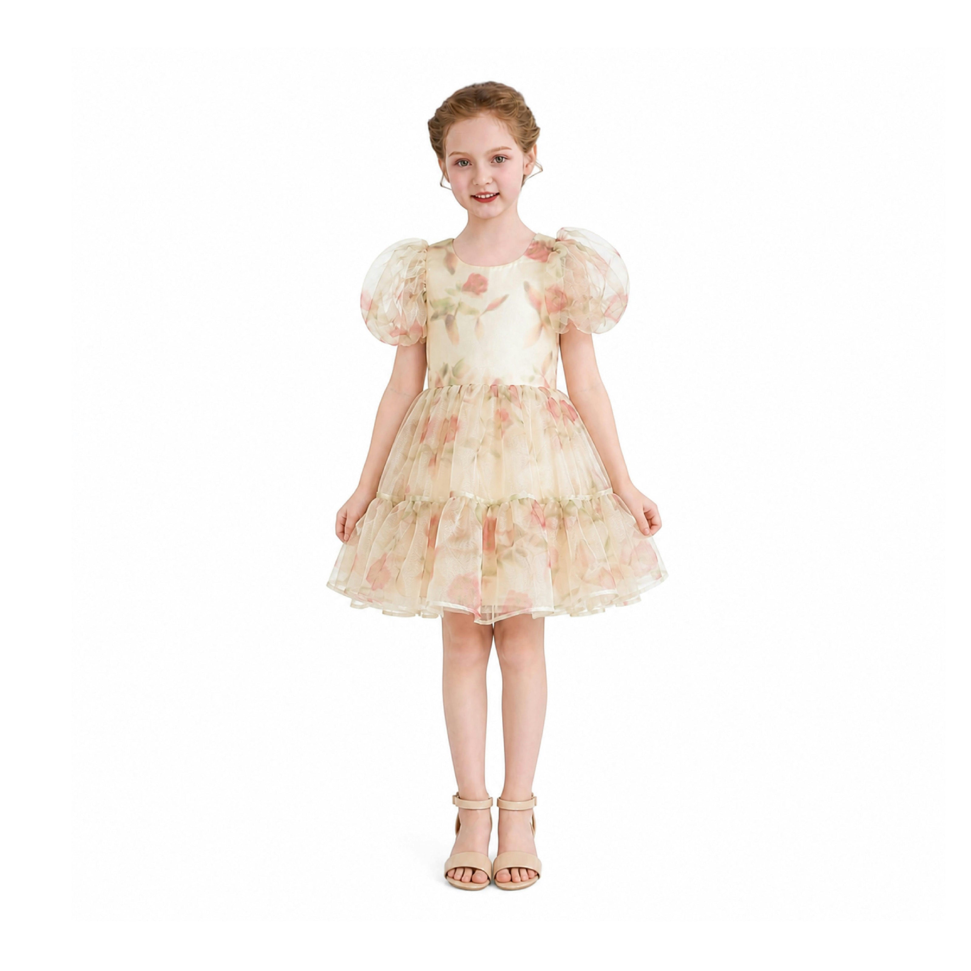 Cream Elanora Floral Organza Dress