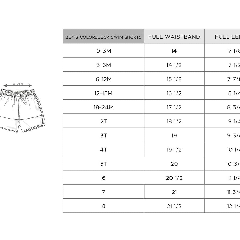 Boy's Colorblock Swim Shorts