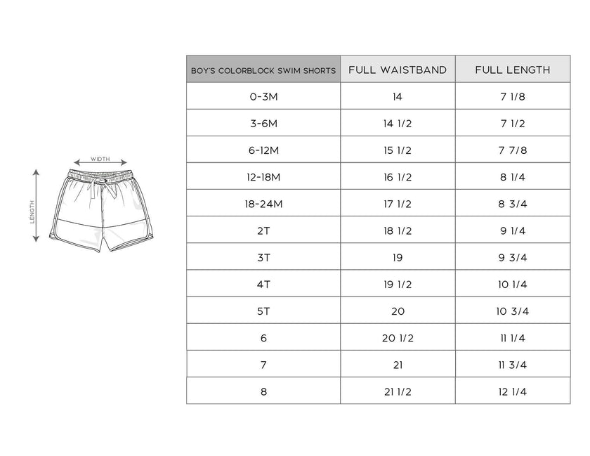 Boy's Colorblock Swim Shorts
