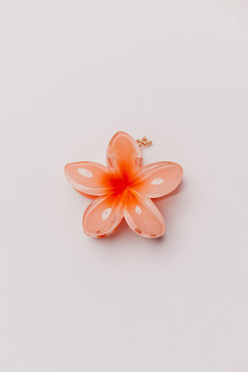 HIBISCUS FLOWER CLAW