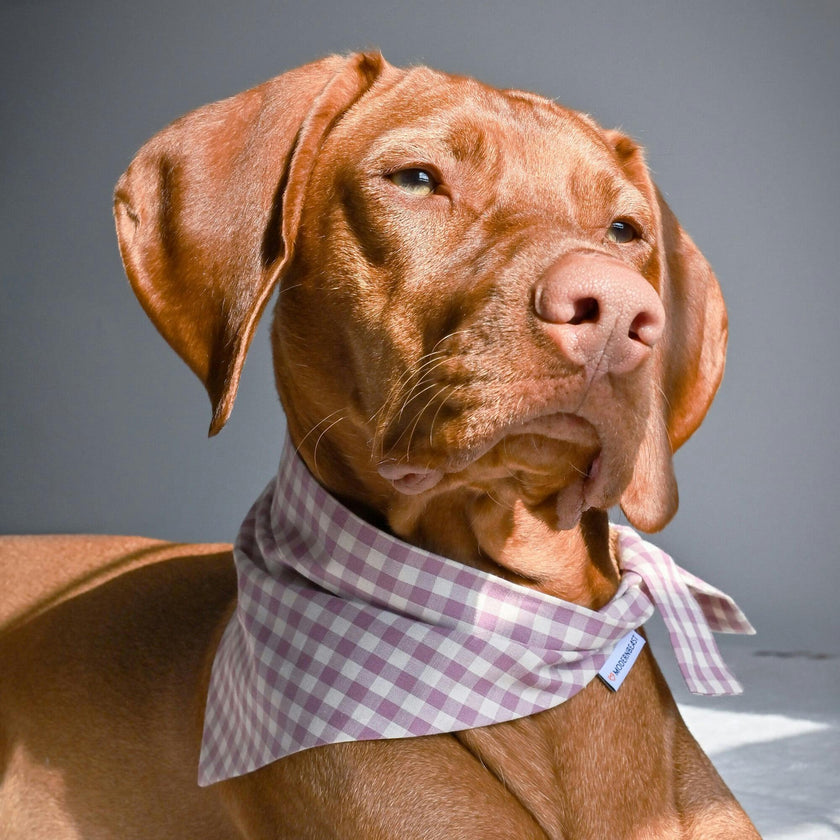 Bandana
