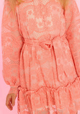 Kaia Lace Embroidered Mini Dress
