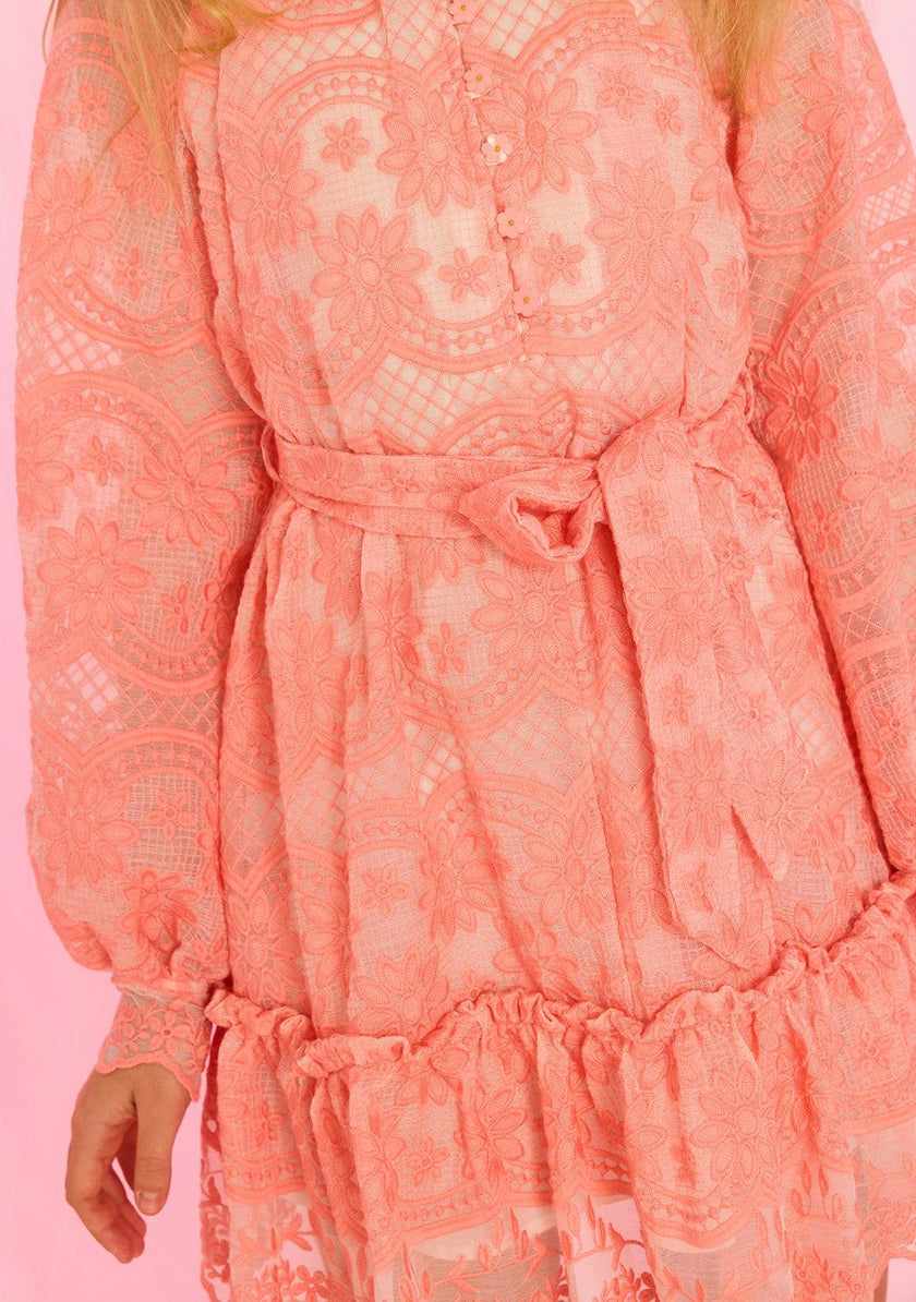 Kaia Lace Embroidered Mini Dress