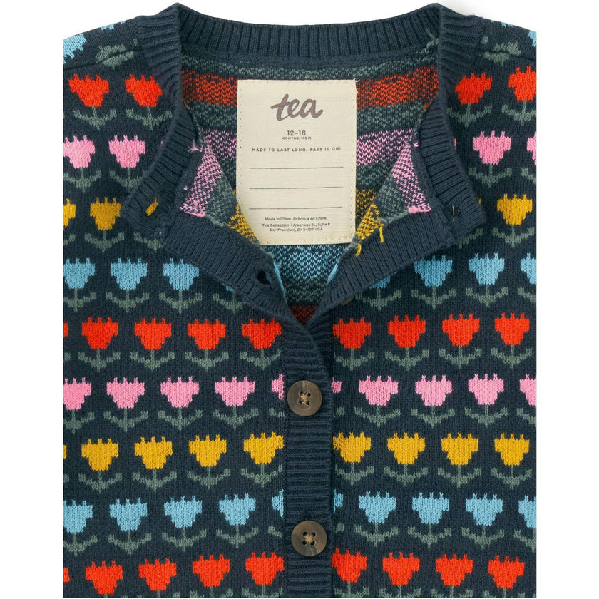 Iconic Raglan Long Sleeve Button-Up Knit Cardigan, Multi