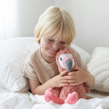 Francesca The Weighted Flamingo